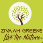 Zivaah Green